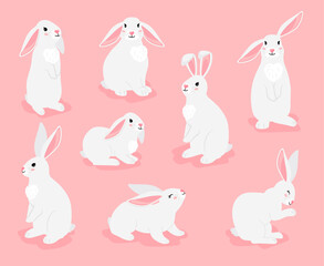 Funny bunny pets pose collection. Chinese new year symbol. White furry hares isolated on white background. Vector illustration of cartoon cute easter characters rabbits