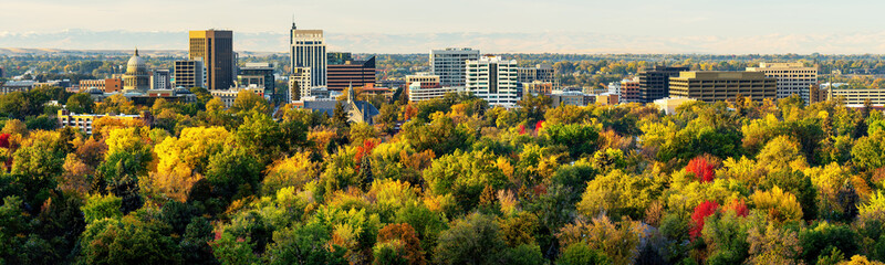 Tree colors of yellow red and green in fall of Boise Idaho