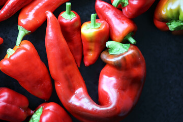 Pepper, roter Spitzpaprika 