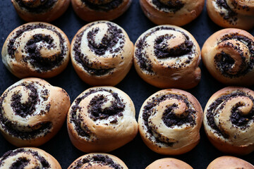 Mohnschnecken, mohngebäck, rolls with poppy seeds, sweet pastry rolls