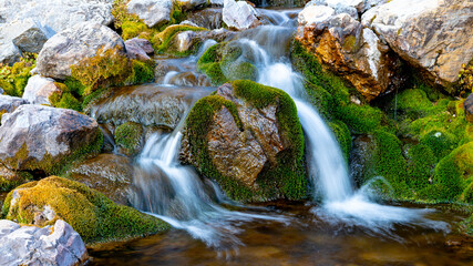 Tiny waterfall flows through moss and rocks