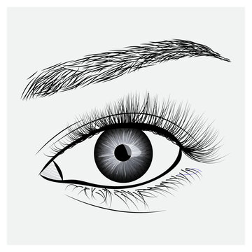 recommend clip art: female eye with long eyelashes