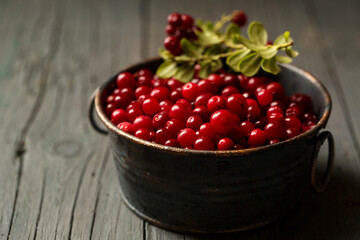 Forest lingonberries in a metal plate on a wooden table