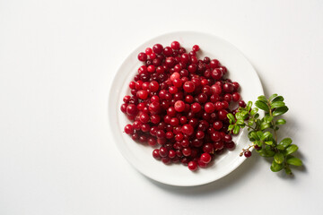 Forest lingonberries in a white plate on a white background