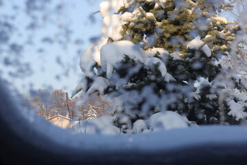 Frozen window view at the snowy landscape