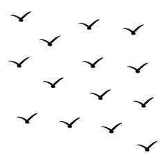silhouettes of flying group birds