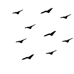 silhouettes of flying group birds