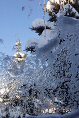 Ice covered window with the view at the firs covered in snow