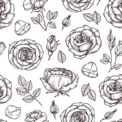 Sketchy black and white seamless pattern with roses, leaves, buds. Hand drawn flowers in vintage style. Vector background for greeting card and wedding invitation, Valentine's day, mother's day.