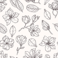 Vector seamless pattern with magnolia flowers. Botanical sketch background in vintage style.