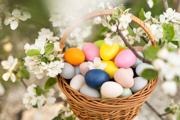 Close up of colorful Easter eggs in a basket