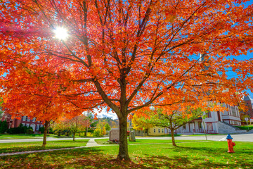 autumn in the park