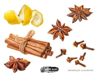 Watercolor illustration of Mulled wine ingredients, recipe set isolated on white background. Hand drawn cinnamon, anise, cloves, lemon peel spices kithen set.