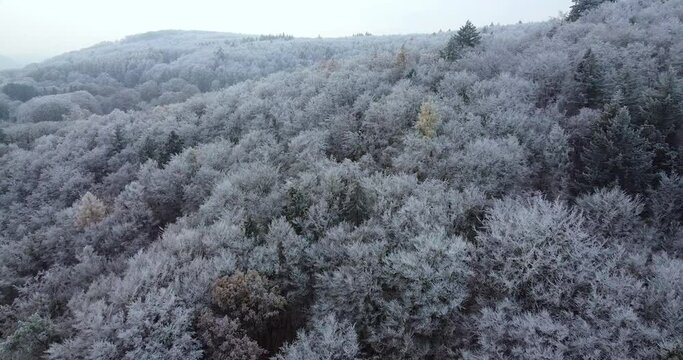 Winter forest from the sky. Near Marburg was the hole forest nice white in frost. Here is a video if this winter forest.