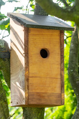 Wooden birdhouse attached to a tree