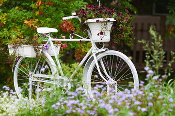 Fototapeta na wymiar White bicycle with flowers in the garden. Vintage decoration. Landscaping. Part of the landscaping of the summer park.