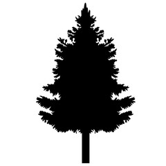 fir tree silhouette design vector isolated