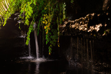 waterfall in the park