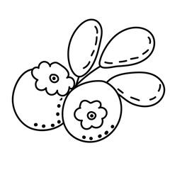 berries sketch ,contour on white background isolated vector