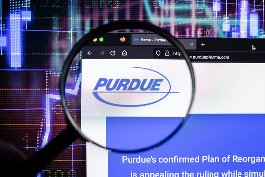 Purdue company logo on a website with blurry stock market developments in the background, seen on a computer screen through a magnifying glass