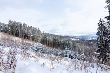 View of the snow-covered Jeseniky mountains from the top of the mountain