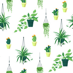 Vector seamless pattern on a white background. Indoor plants for a cozy home. Illustration in cartoon style.