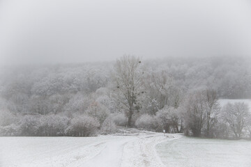 Obraz na płótnie Canvas Waldweg im Winter