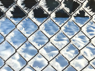 Fototapeta premium Metal mesh is covered with frost. Winter background, frosty weather. In the bright sun