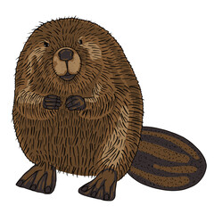 Vector illustration of cute-looking beaver - obrazy, fototapety, plakaty