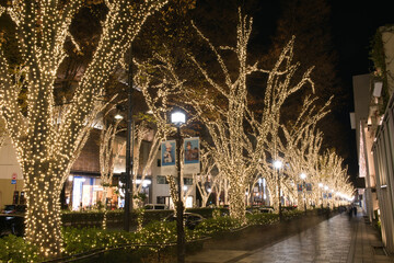 Illumination Light Up Omotesando Shibuya Japan