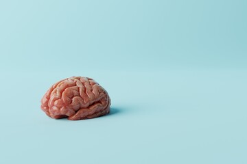 Brain on a blue background. Medical concept, brain diseases, mental problems. Operations and treatment of the brain. 3d rendering, 3d illustration.