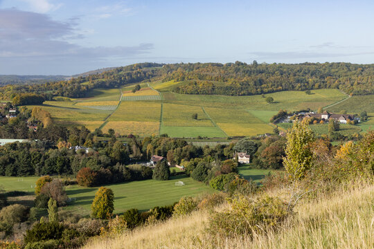 Autumnal view of Dorking’s Surrey Hills vineyard pictured from Box Hill