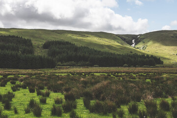 Fototapeta premium Isle of Skye - Landscape Photography
