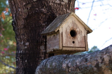 Small brown birdhouse on tree branch