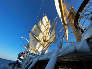 The gigantic sailing ship with the wind.