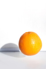 Summer coral orange slice. Flying. Citrus food diet. Fruit round juicy concept. Modern sweet cut photography. Bright color. Sunny piece creative design. Tropical vegetables. Summer vibe