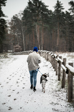 junge Frau geht im verschneiten Wald mit Dalmatiner (Hund) spazieren