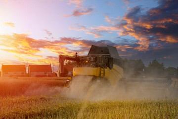 Naklejka premium Wheat harvesting in the summer season by a modern combine harvester. Farmers securing food supply and feeding the nation