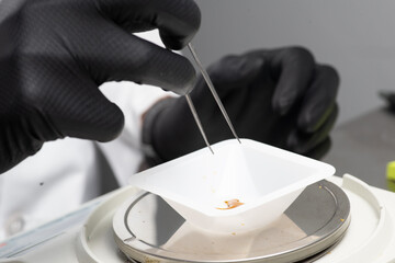 Gloved Worker Weighing & Packaging Cannabis Extract