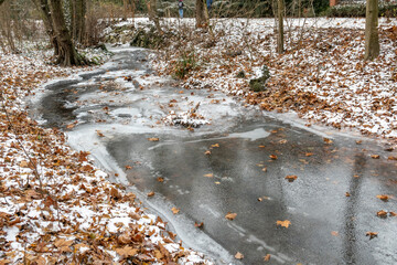 detail of leaves at the ice of the small creek flowing in the public garden in Wiesbaden in winter