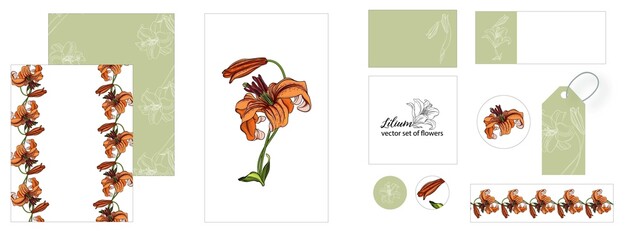 set of postcards with Lily flowers. exotic, romantic, isolated, vintage