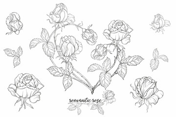 Graphic roses. Floral composition. Roses. Vector colors. Heart of roses. 