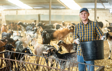 Positive young male farmer with bucket in hands pouring oats, hay for goats at livestock farm in autumn © JackF