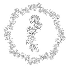 Graphic roses. Flower arrangement. Roses. Vector roses. Floral wreath. 