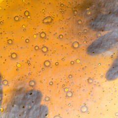 Gloved Hand Examines Cannabis Extract