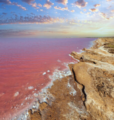 Pink extremely salty Syvash Lake, colored by microalgae with crystalline salt depositions. Also known as the Putrid Sea or Rotten Sea. Ukraine, Kherson Region, near Crimea and Arabat Spit.