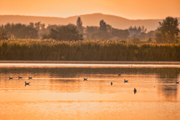 Naklejka premium see, wasser, natur, himmel, cloud, landschaft