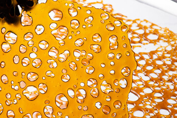 Gloved Hand Examines Cannabis Extract
