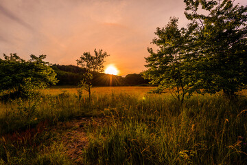 sunset in nature