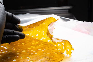 Gloved Hand Examines Cannabis Extract